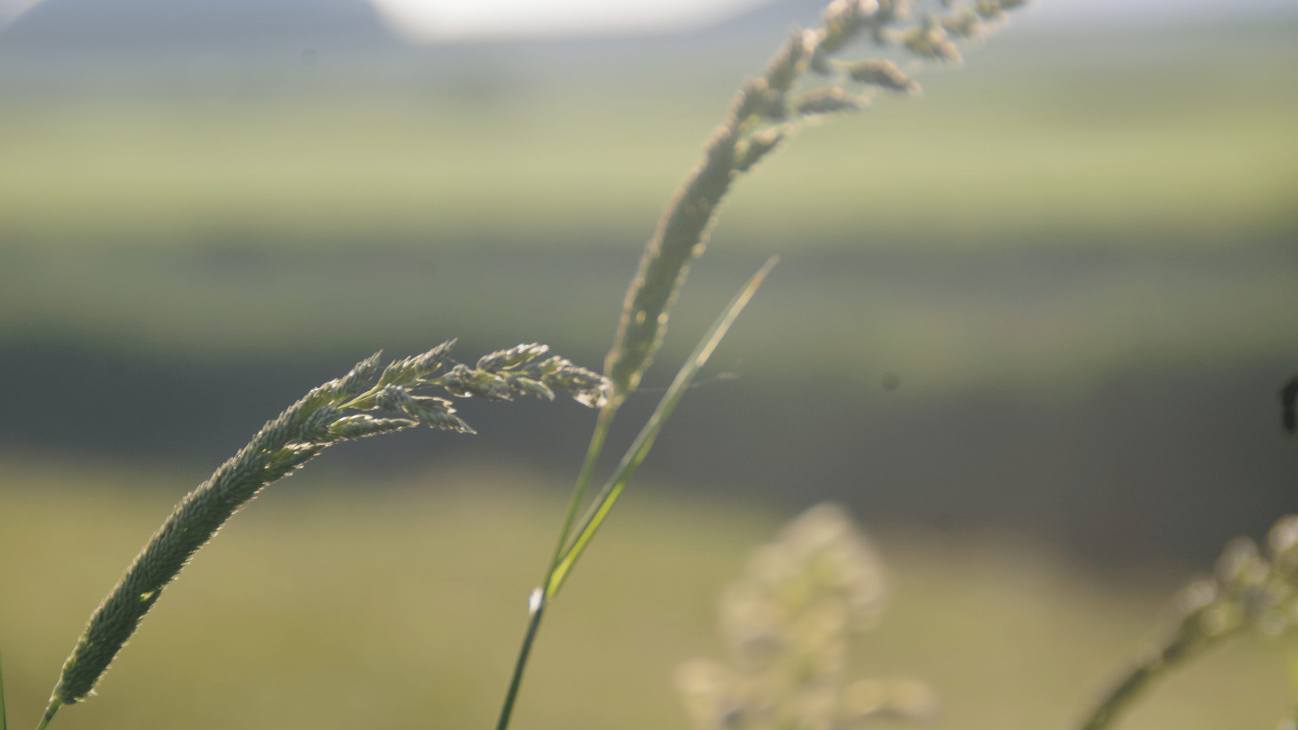 18 bookish facts über mich