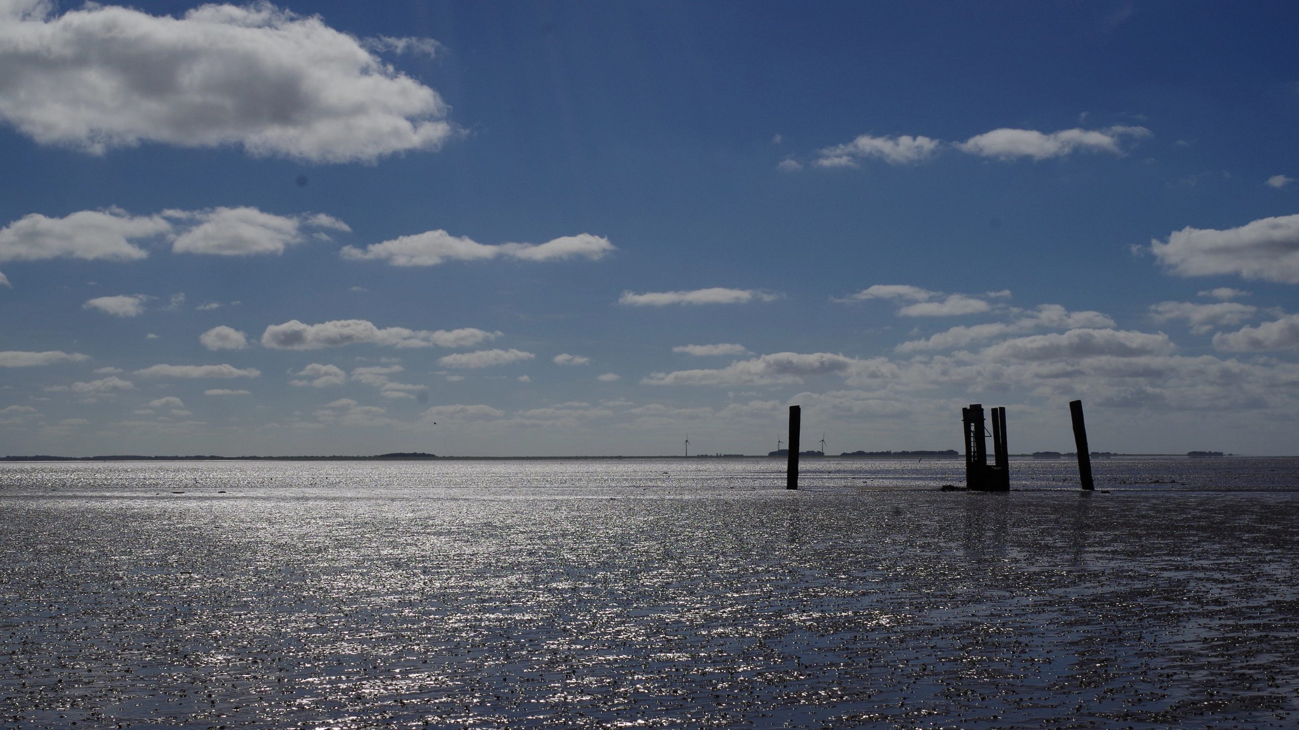 Wie alles begann – Von Flohmarktfunden und Geisterfreunden (Teil 1)